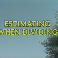 Estimating When Dividing