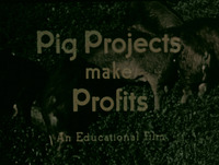 Pig Projects Make Profits
