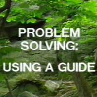 Problem Solving: Using a Guide