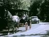 Horse and buggy at McCormick's Creek State Park