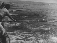 Fishmen Off the Galapagos Islands