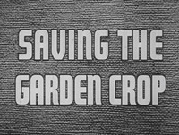 Saving the Garden Crop