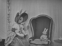 The stay home bunny<br />
