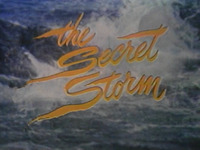 The Secret Storm<br />
