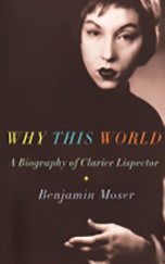 Book cover: Why this World, 2009