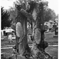 Double Tree Trunks--Clear Creek Cemetery, Clear Creek
