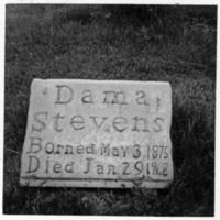Homemade-Dama Stevens--Old Riverside Cemetery, Spencer