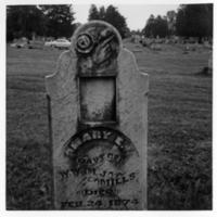 Finger Pointing-Rose-Large Photo Insert--Old Riverside Cemetery, Spencer