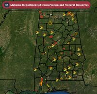 Extract from Interactive GIS map by Alabama State Lands Division - https://conservationgis.alabama.gov/dcnr/