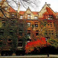"University of Chicago at Fall"  by Nicomachian, CC BY-SA 4.0  via Wikimedia Commons