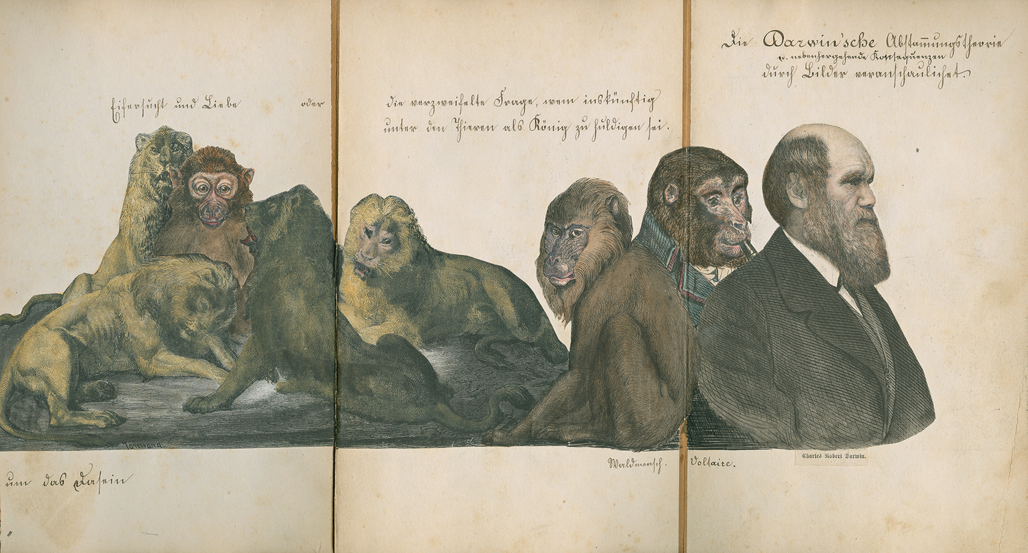 Das Buch der Abstammung: Illustrationen zur Darwin’schen Descendenztheorie, gesammelt und fein koloriert von einem Antiaffen. 1874.