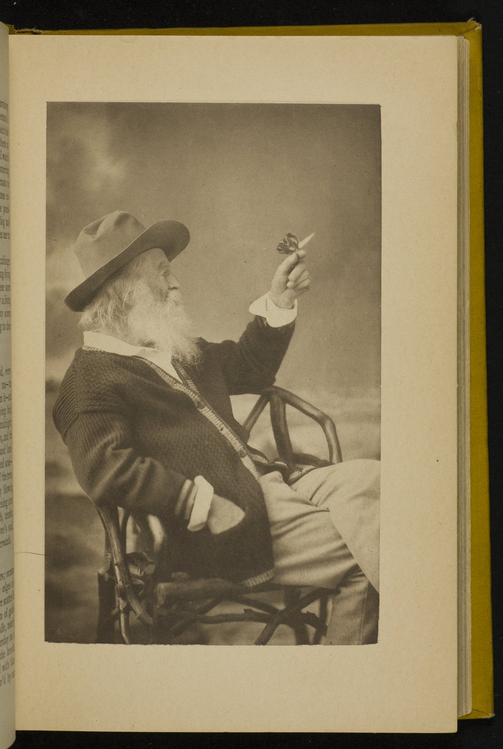 Whitman and Butterfly