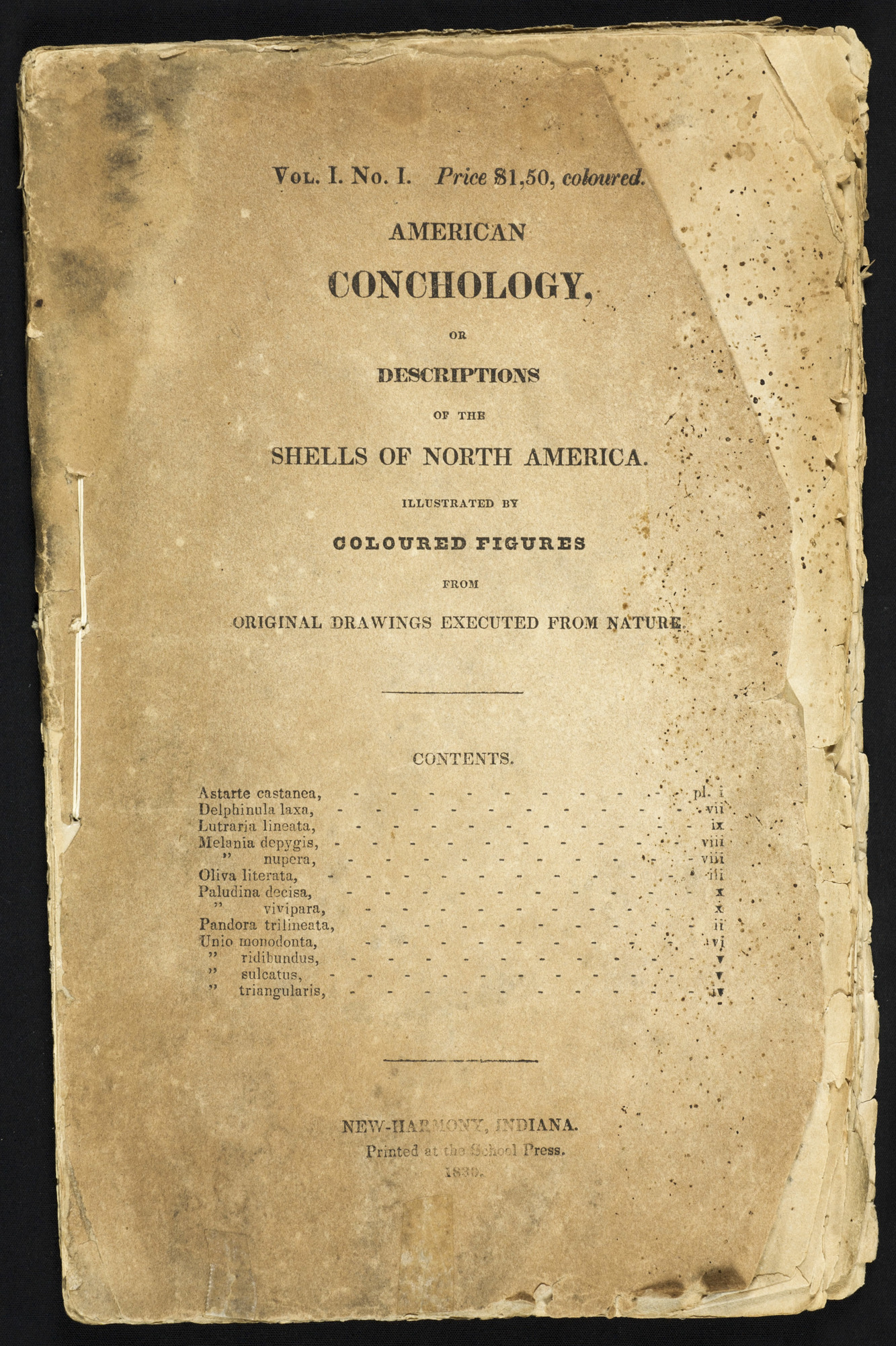 American conchology, or, Descriptions of the shells of North America