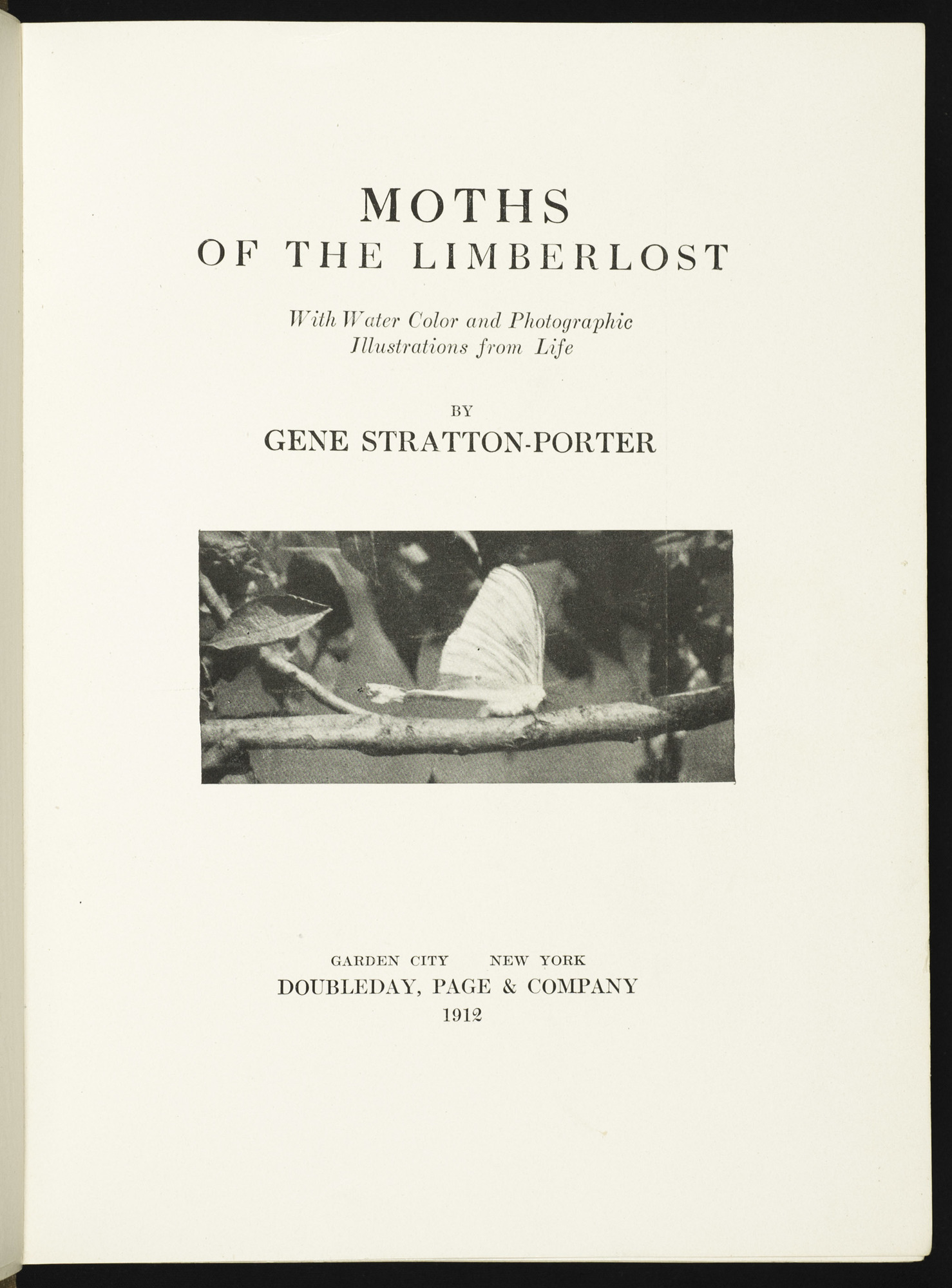 Moths of the Limberlost: with water color and photographic illustrations from life
