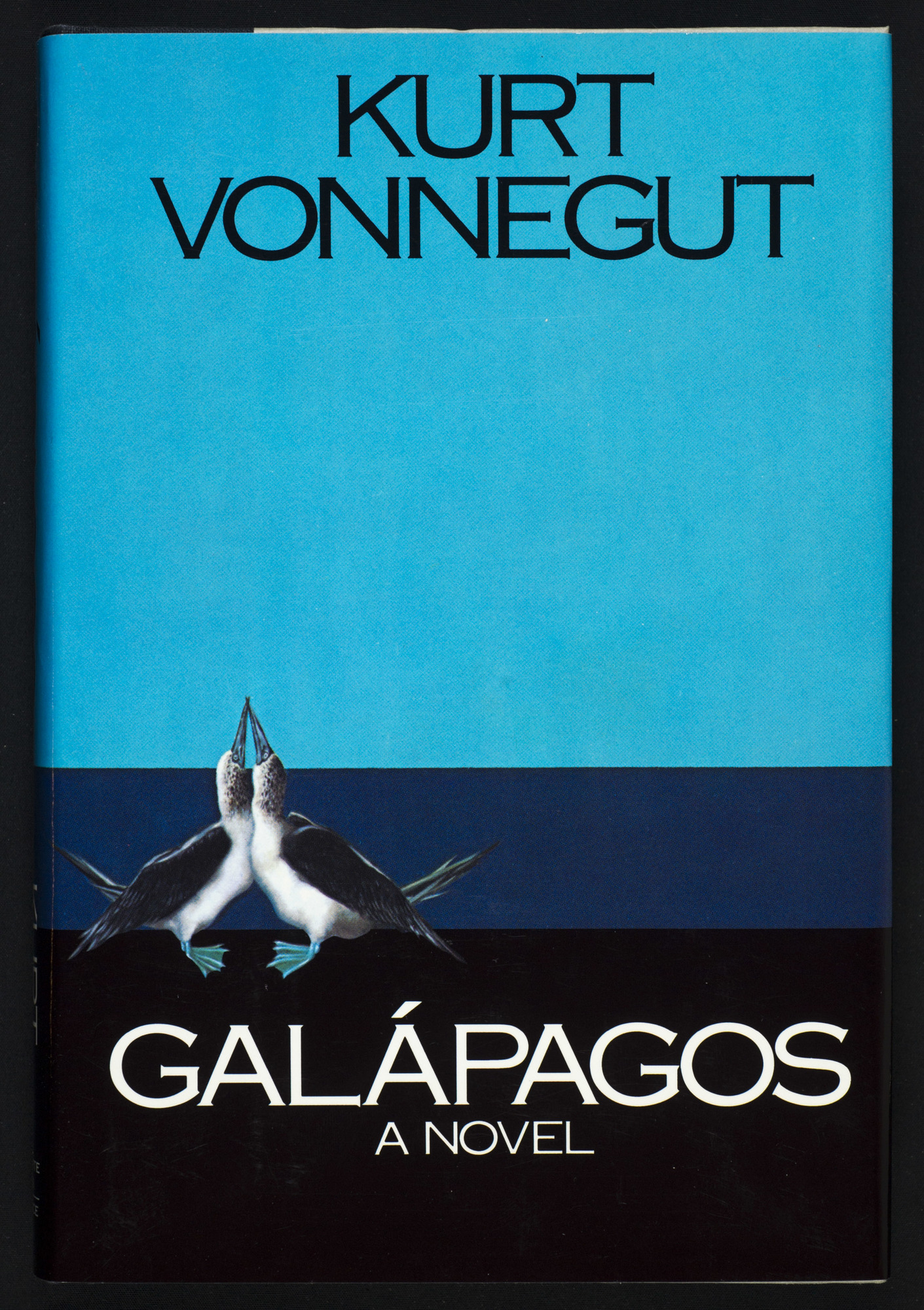 Galápagos: a novel