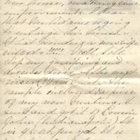 Sarah Seabrook Mitchell Wylie to Louisa Wylie Boisen, 17 March 1881 (8).jpeg