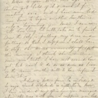 Louisa Wylie Boisen to Susan Emma Dennis, 23 January 1881