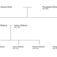 wylie family tree.png